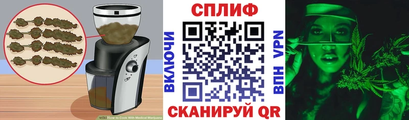 мега как зайти  где купить наркоту  Пласт  Cannafood марихуана 