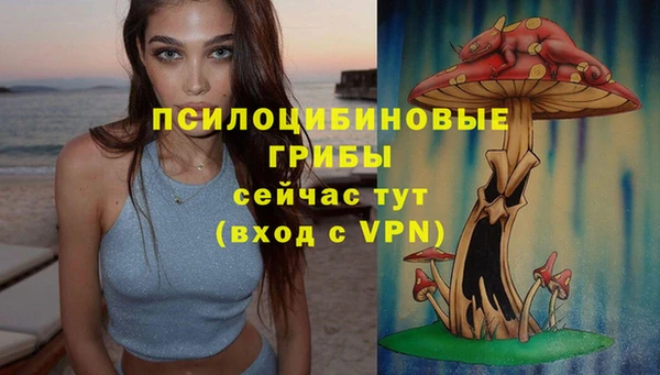 мет Михайловск